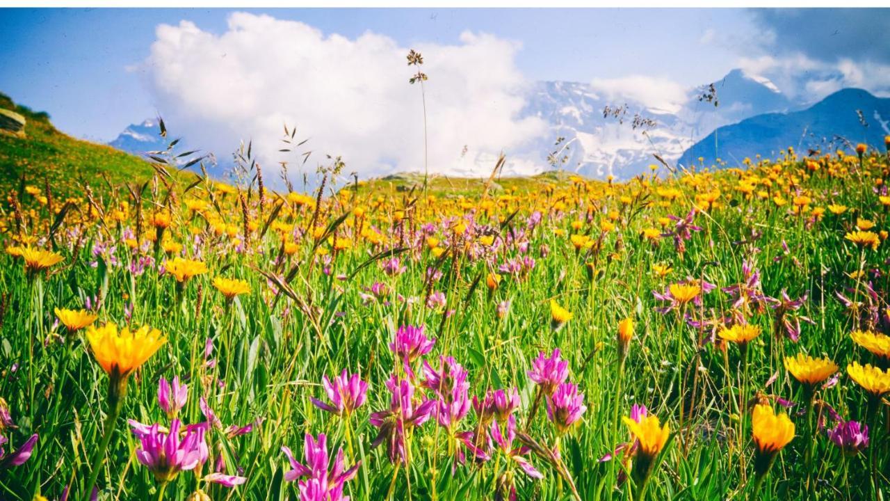 Residence Nube D'Argento Colle Colle Sestriere Dış mekan fotoğraf