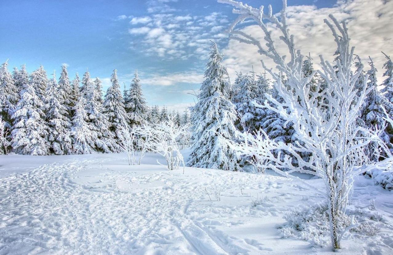 Residence Nube D'Argento Colle Colle Sestriere Dış mekan fotoğraf